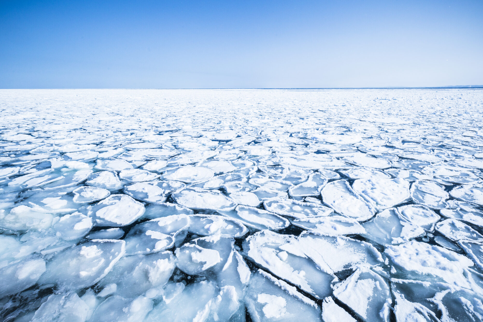 景色・お土産・グルメまで。オホーツクブルーに染まる「流氷観光」